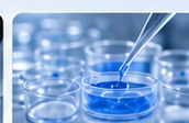 Translational Research